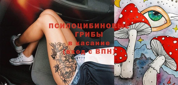 ГАЛЛЮЦИНОГЕННЫЕ ГРИБЫ Баксан