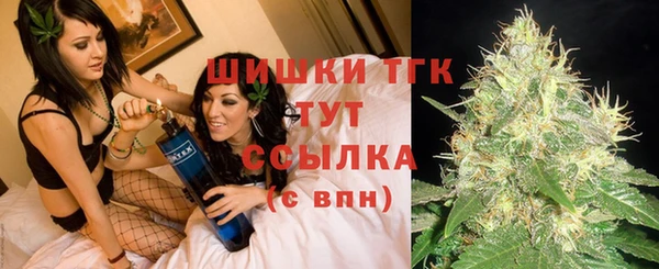 ГАЛЛЮЦИНОГЕННЫЕ ГРИБЫ Баксан